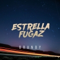 Album Estrella Fugaz
