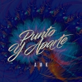 Album Punto y aparte