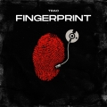 Album Fingerprint