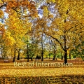 Album Best of Intermission