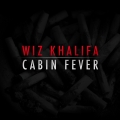 Album Cabin Fever