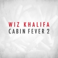 Album Cabin Fever 2