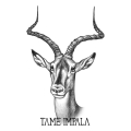 Album Tame Impala