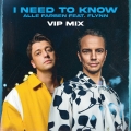 Album I Need to Know (feat. Flynn) [VIP Mix]