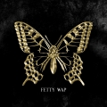 Album The Butterfly Effect