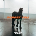 Album Forget You - Single