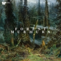 Album Forest Murmurs