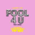 Album Fool 4 U (feat. JVKE & Enisa) [Galantis & Secs On The Beach VIP 