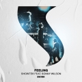 Album Feeling (feat. Sonny Wilson)