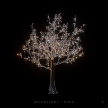 Album Hope