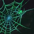 Album Telaraña
