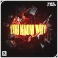 Album You Know Why
