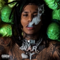 Album CABBAGE