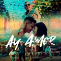 Album Ay Amor