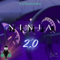 Album Ninja 2.0
