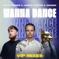 Album Wanna Dance (VIP Mixes)