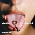 Album Houdini (Extended Edit)