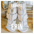 Album Erin