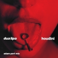 Album Houdini (Adam Port Mix)