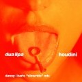 Album Houdini (Danny L Harle Slowride Mix)