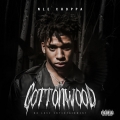 Album Cottonwood