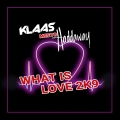 Album What Is Love 2K9