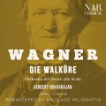 Album Wagner: Die Walküre