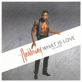 Album What Is Love (The Mixes)