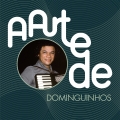 Album A Arte De Dominguinhos