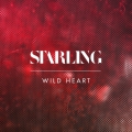 Album Wild Heart