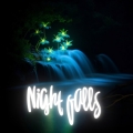 Album Night Falls