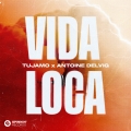 Album Vida Loca (Extended Mix)
