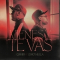 Album Vienes y Te Vas