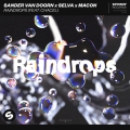 Album Raindrops (feat. Chacel) [Extended Mix]