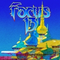 Album Focus 13