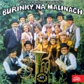Album Buřinky na malinách