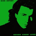 Album Never Knew Love (2024 Remaster)