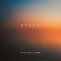 Album True