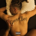 Album J'veux pas