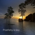 Album Postřehy krásy