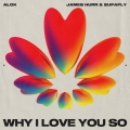 Album Why I Love You So - Single