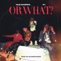 Album Or What (Sped Up/Slowed Down)