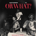 Album Or What (Instrumental / Acapella)