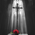 Album Lost Your Faith