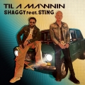 Album Til A Mawnin (feat. Sting)