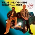 Album Til A Mawnin (feat. Sting) [Remix]