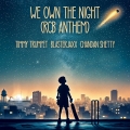Album We Own The Night (feat. Chandan Shetty) [RCB Anthem]