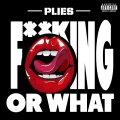 Album Fucking or What