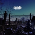 Album Wastelands