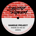 Album Where Do We Go (MIXES)